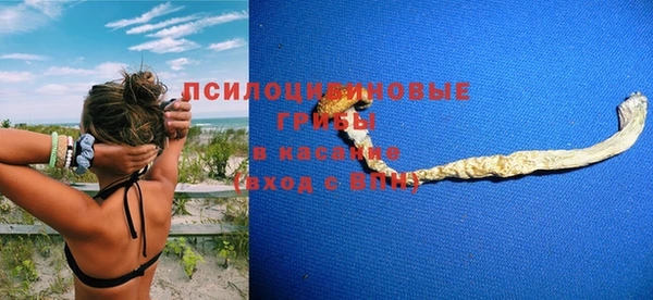 шишки Балахна