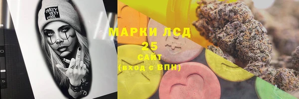 сатива Медногорск